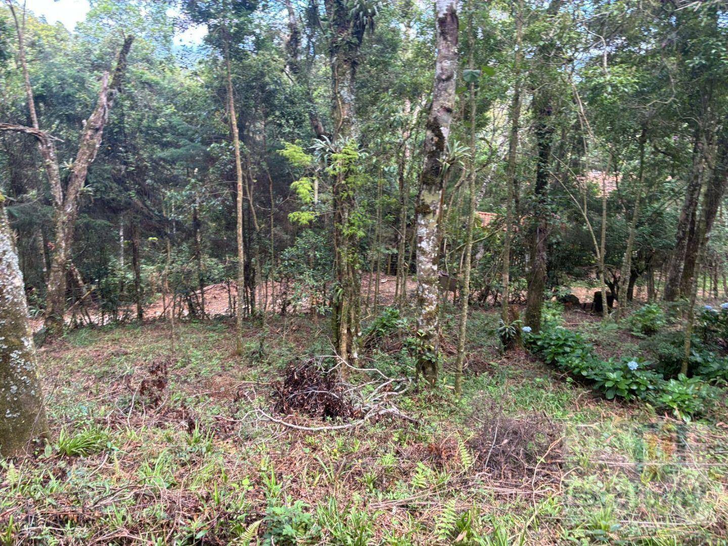 Terreno, 1046 m² - Foto 15