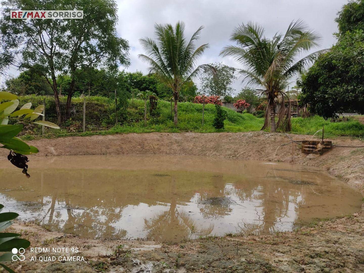 Chácara à venda com 4 quartos, 8500M2 - Foto 3