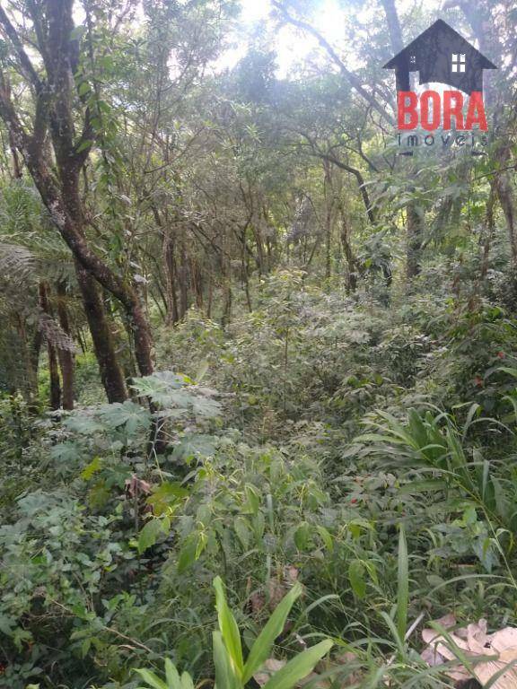 Terreno à venda, 5000M2 - Foto 12