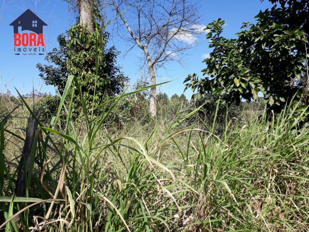 Terreno à venda, 1120M2 - Foto 2