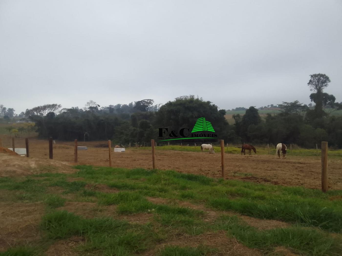 Terreno à venda, 1000m² - Foto 1