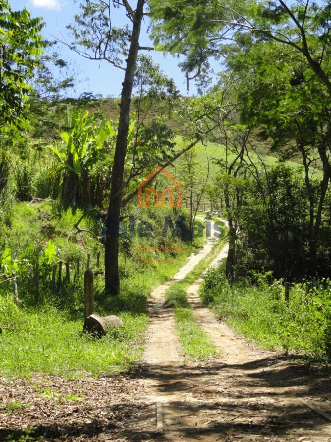 Fazenda à venda com 2 quartos, 1214658m² - Foto 4