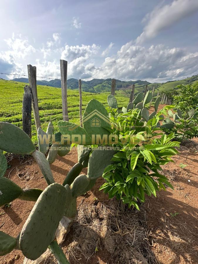 Fazenda à venda com 3 quartos, 52000m² - Foto 46