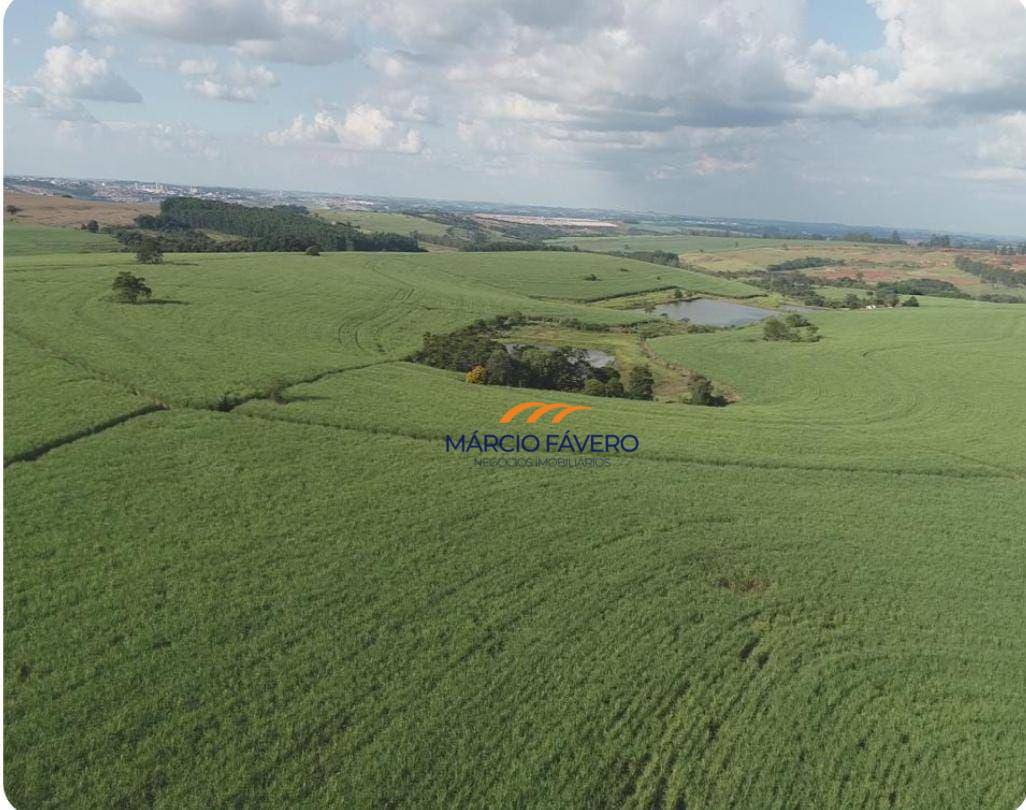 Fazenda, 307 hectares - Foto 11