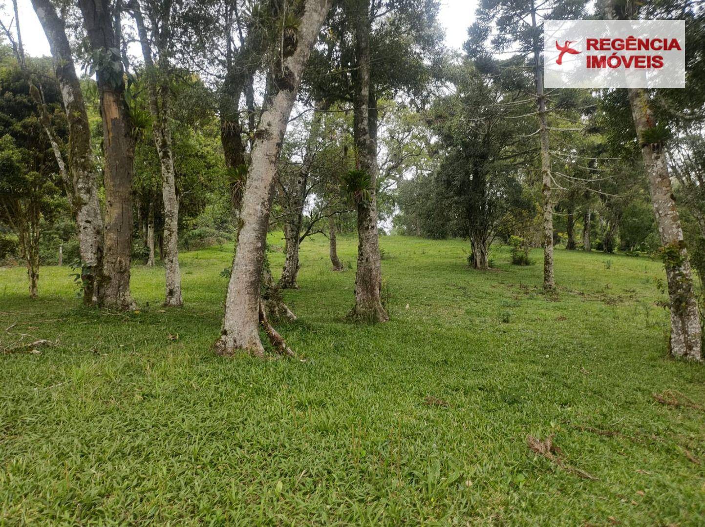 Terreno, 9700 m² - Foto 5