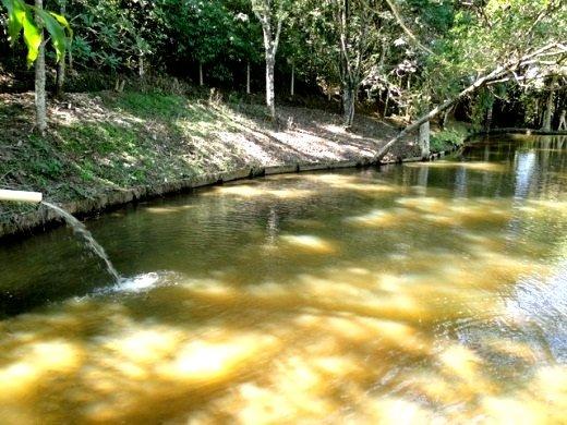 Fazenda à venda com 14 quartos, 3m² - Foto 7