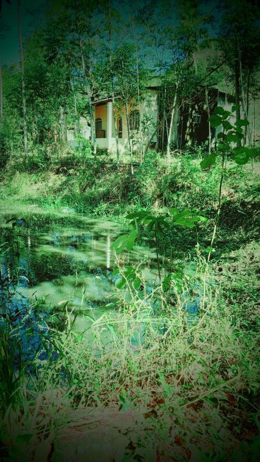 Fazenda à venda com 1 quarto, 10000m² - Foto 3