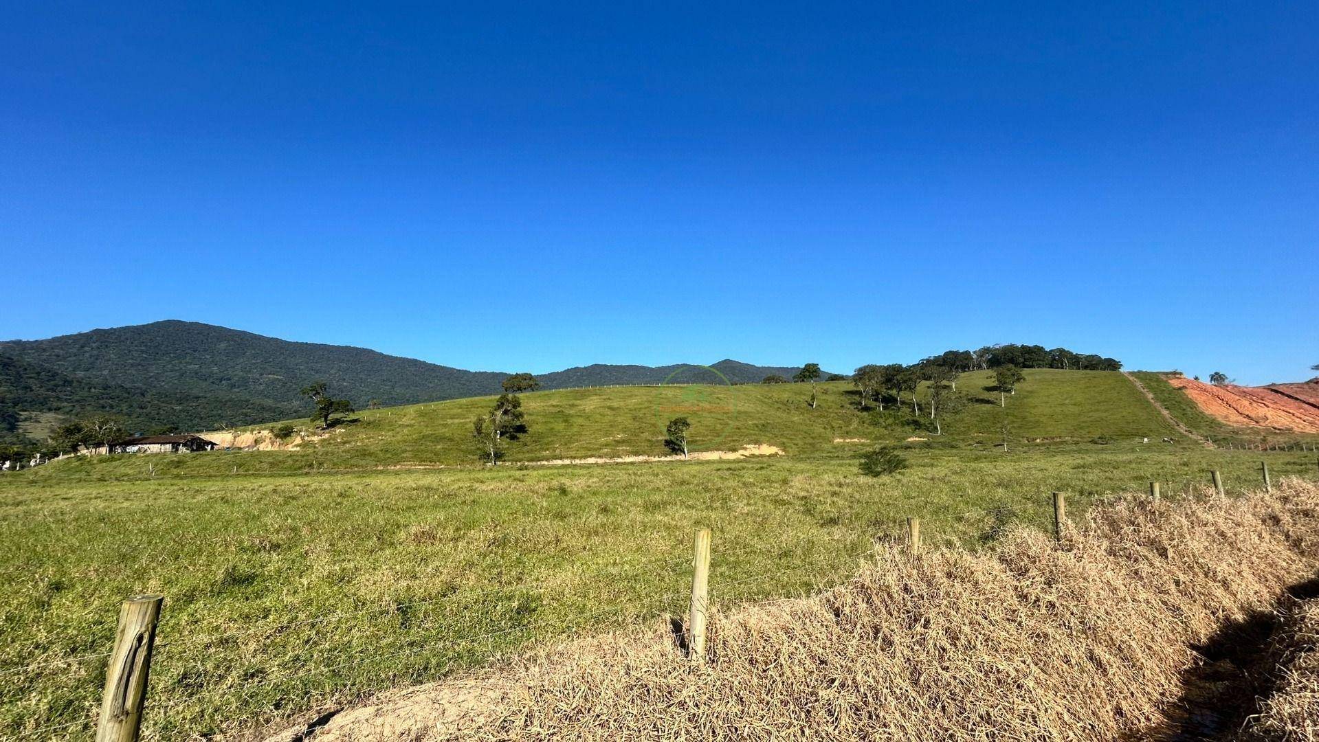 Terreno, 27 hectares - Foto 28