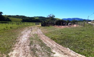 Fazenda à venda com 2 quartos, 210000m² - Foto 15