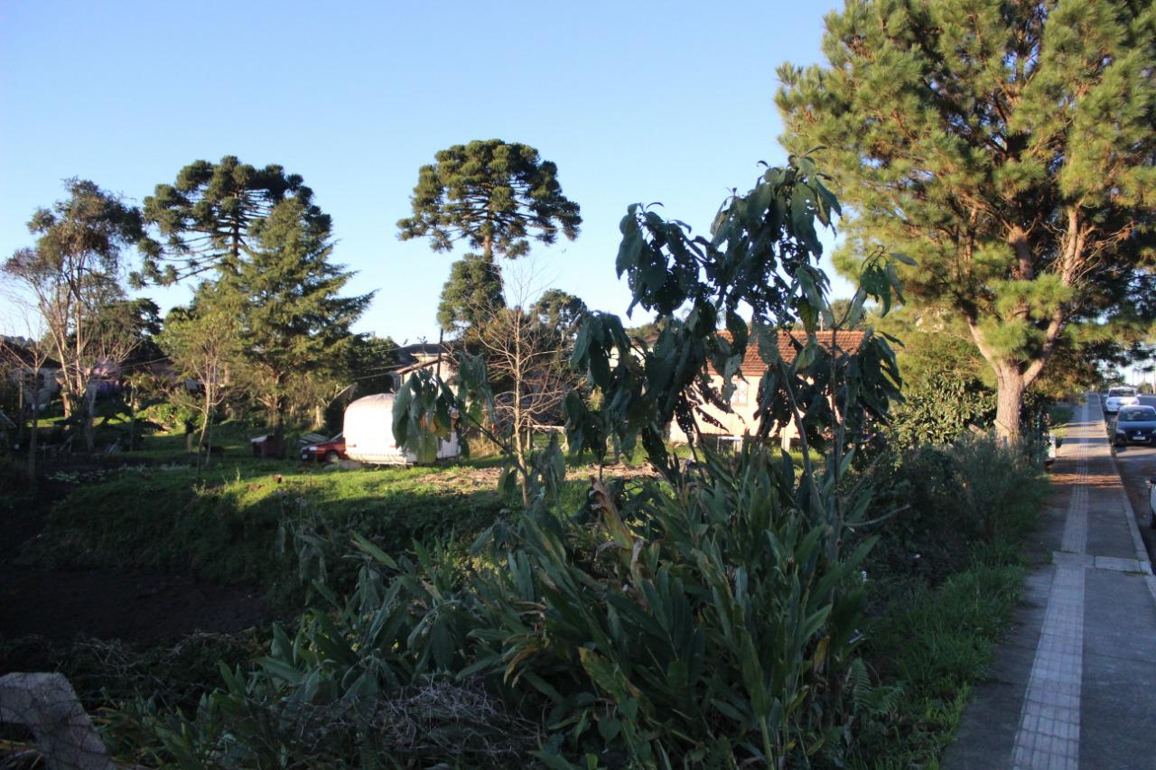 Terreno à venda, 4016m² - Foto 9