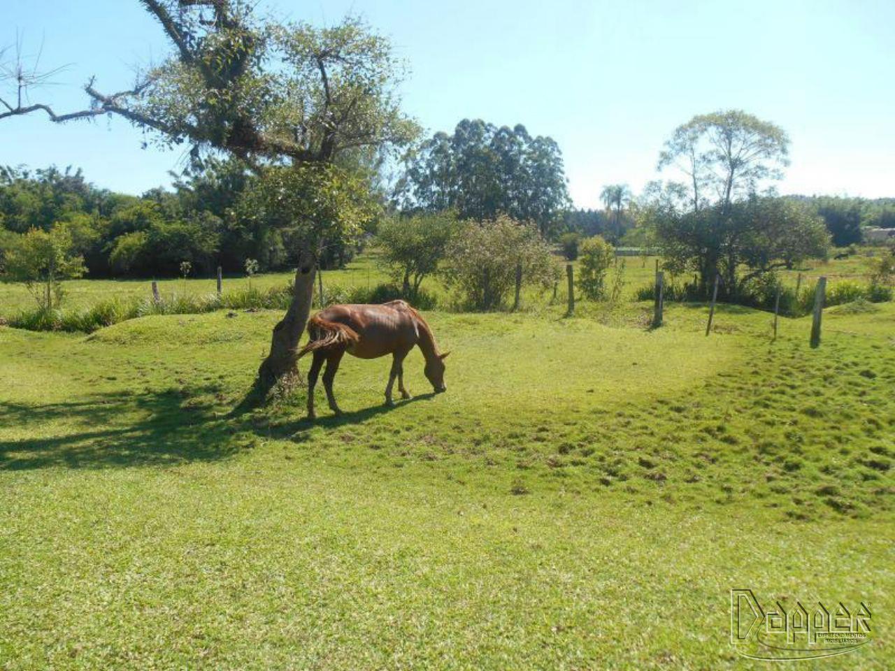 Chácara à venda - Foto 15