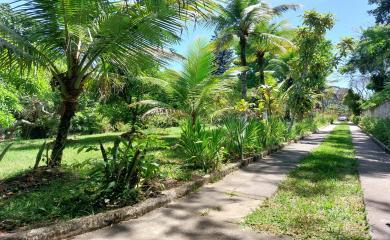 Fazenda à venda com 3 quartos, 8000m² - Foto 22