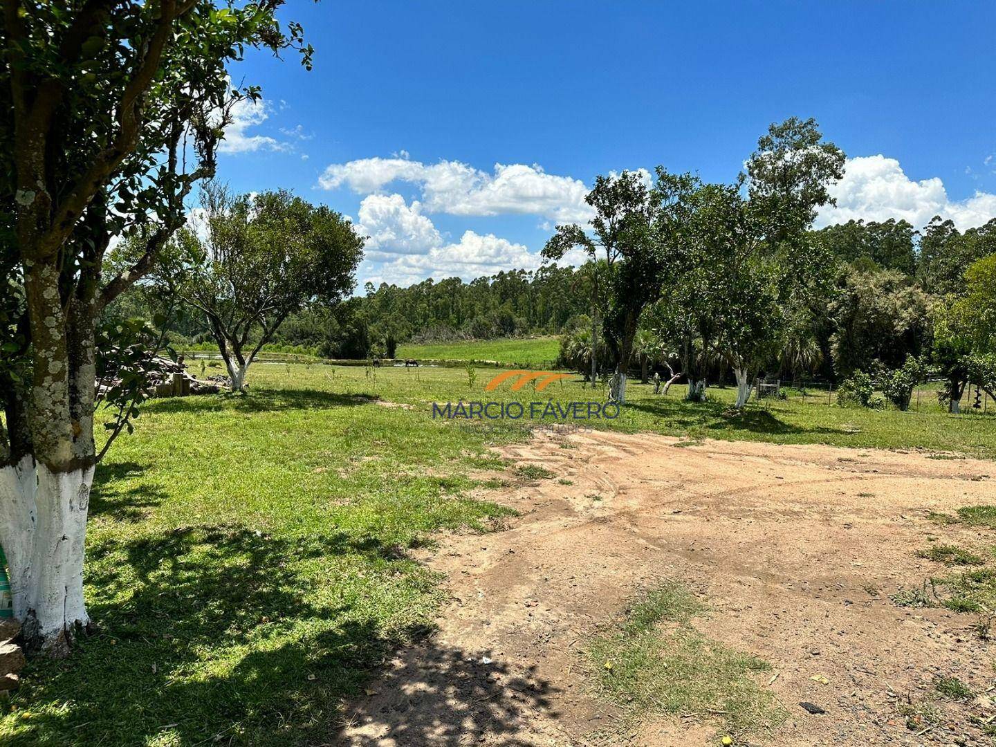 Fazenda à venda, 1065000M2 - Foto 7