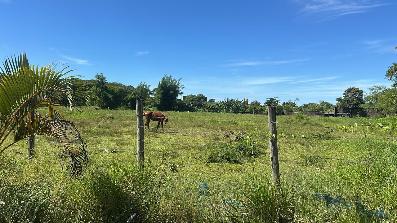 Terreno à venda, 10500m² - Foto 3