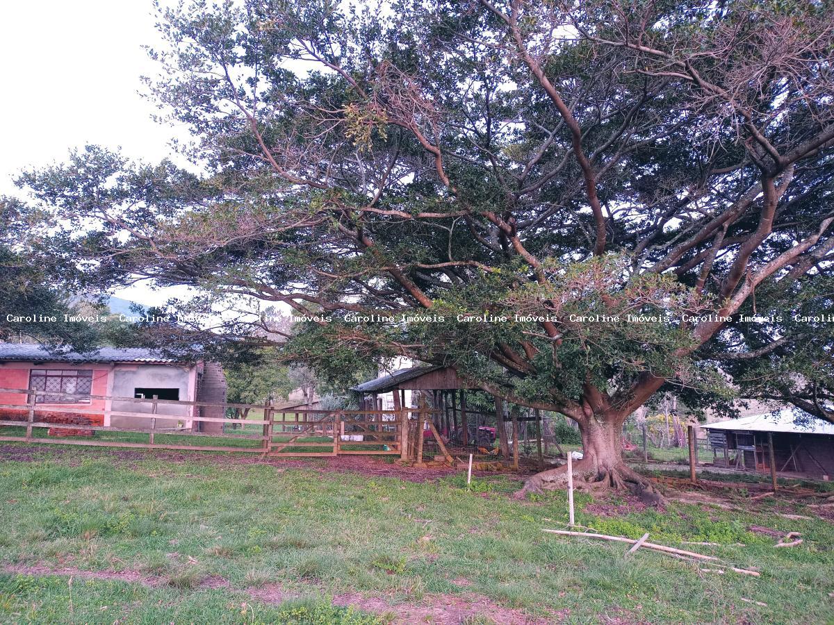 Fazenda à venda com 3 quartos, 23m² - Foto 23