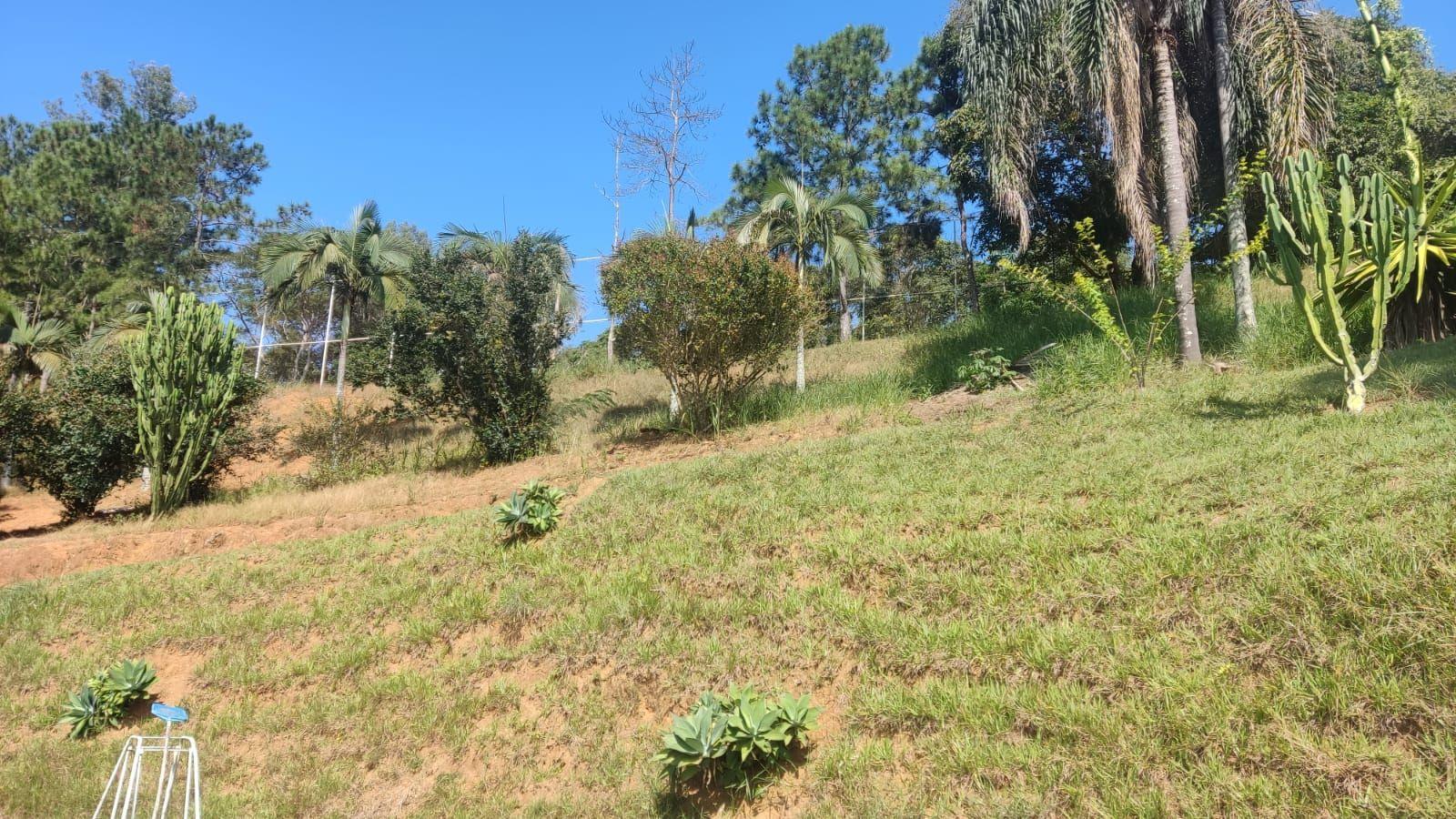 Fazenda à venda com 4 quartos, 24000m² - Foto 39