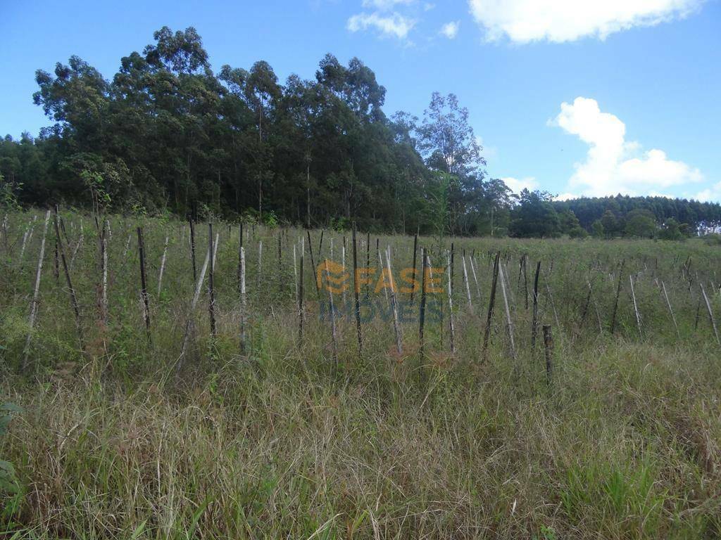 Terreno, 10 hectares - Foto 13