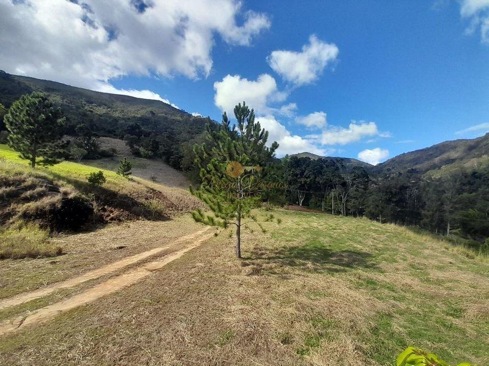 Fazenda à venda com 5 quartos, 122000m² - Foto 29