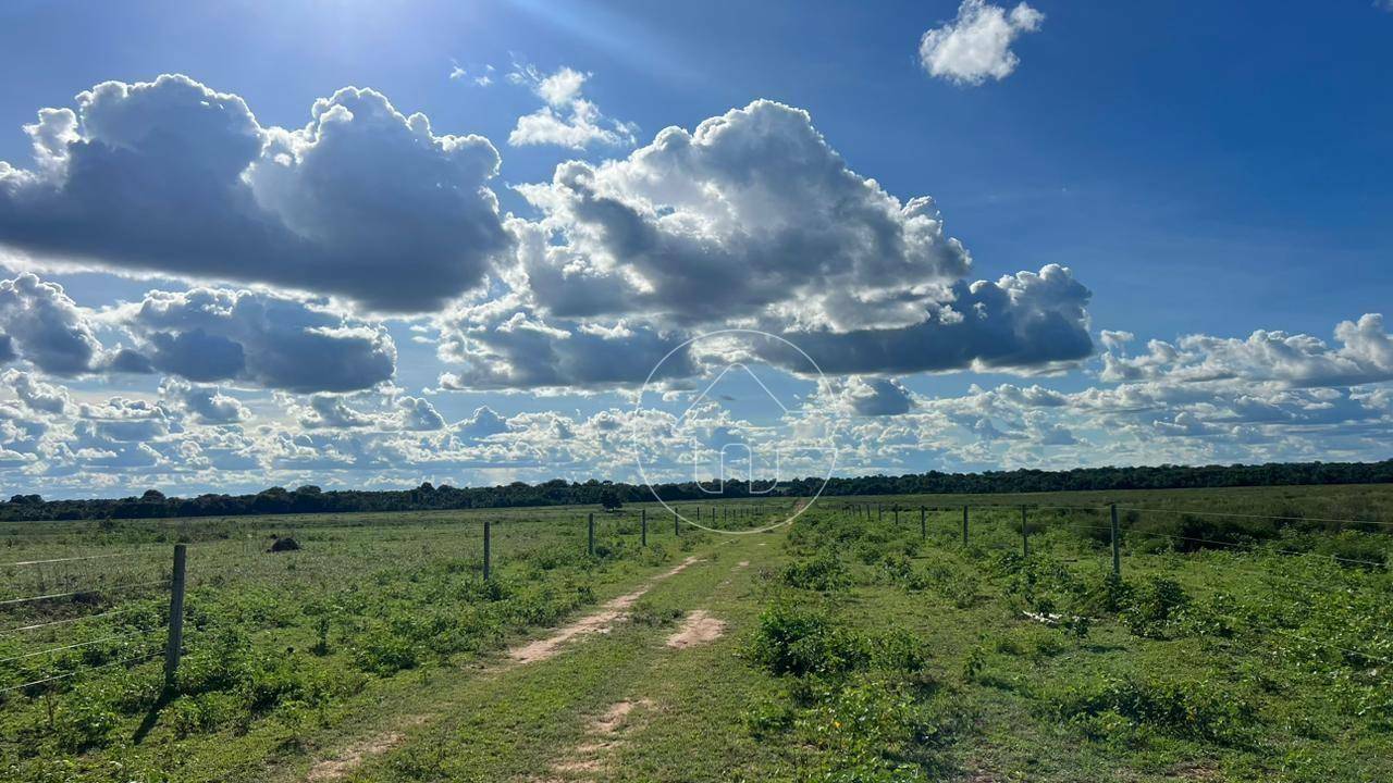 Fazenda à venda, 76650000M2 - Foto 5