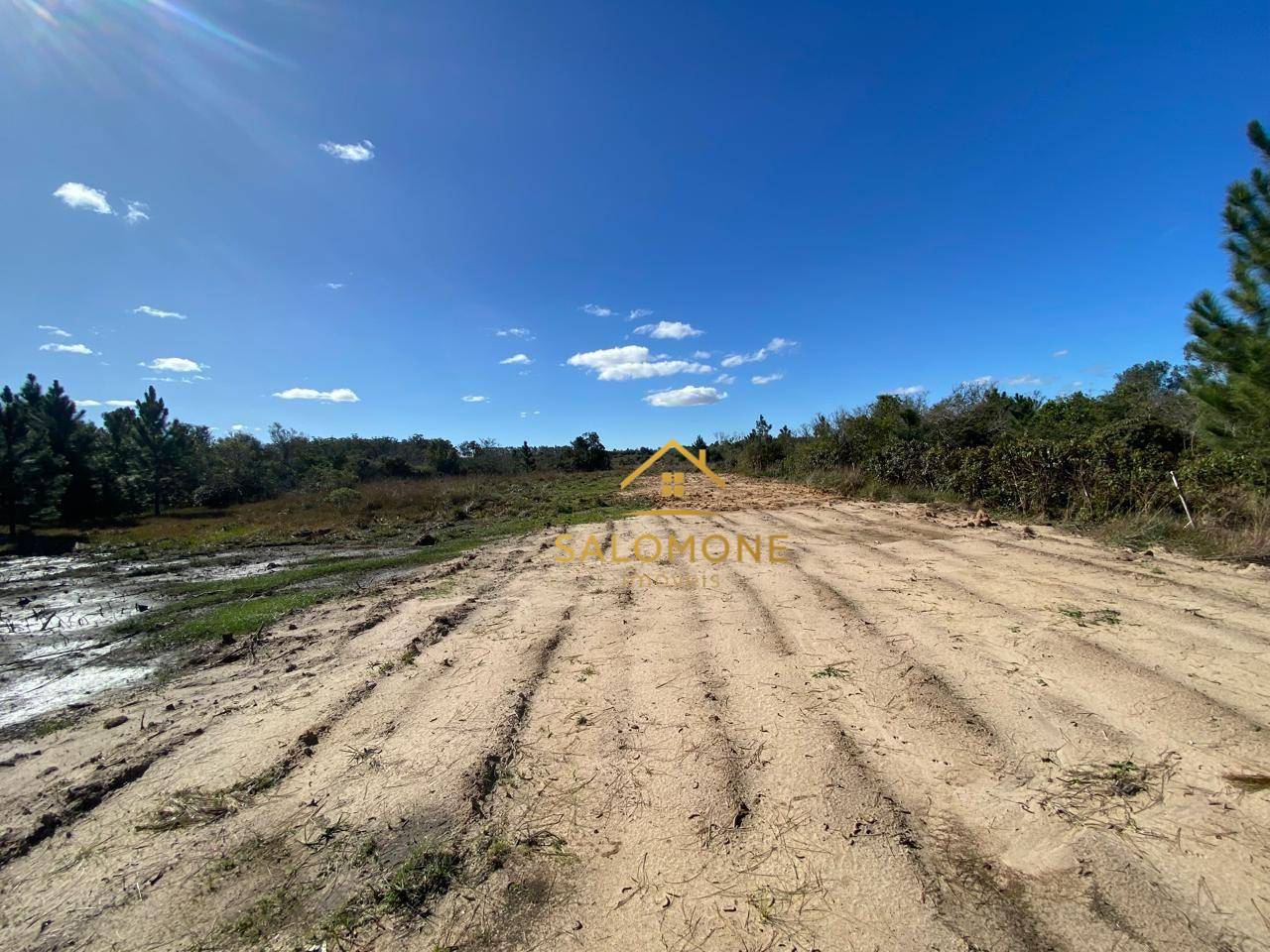 Terreno, 2 hectares - Foto 3