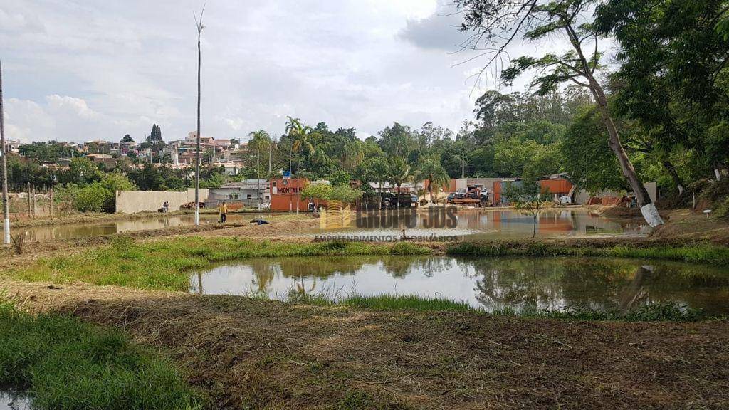 Terreno à venda, 28000M2 - Foto 4