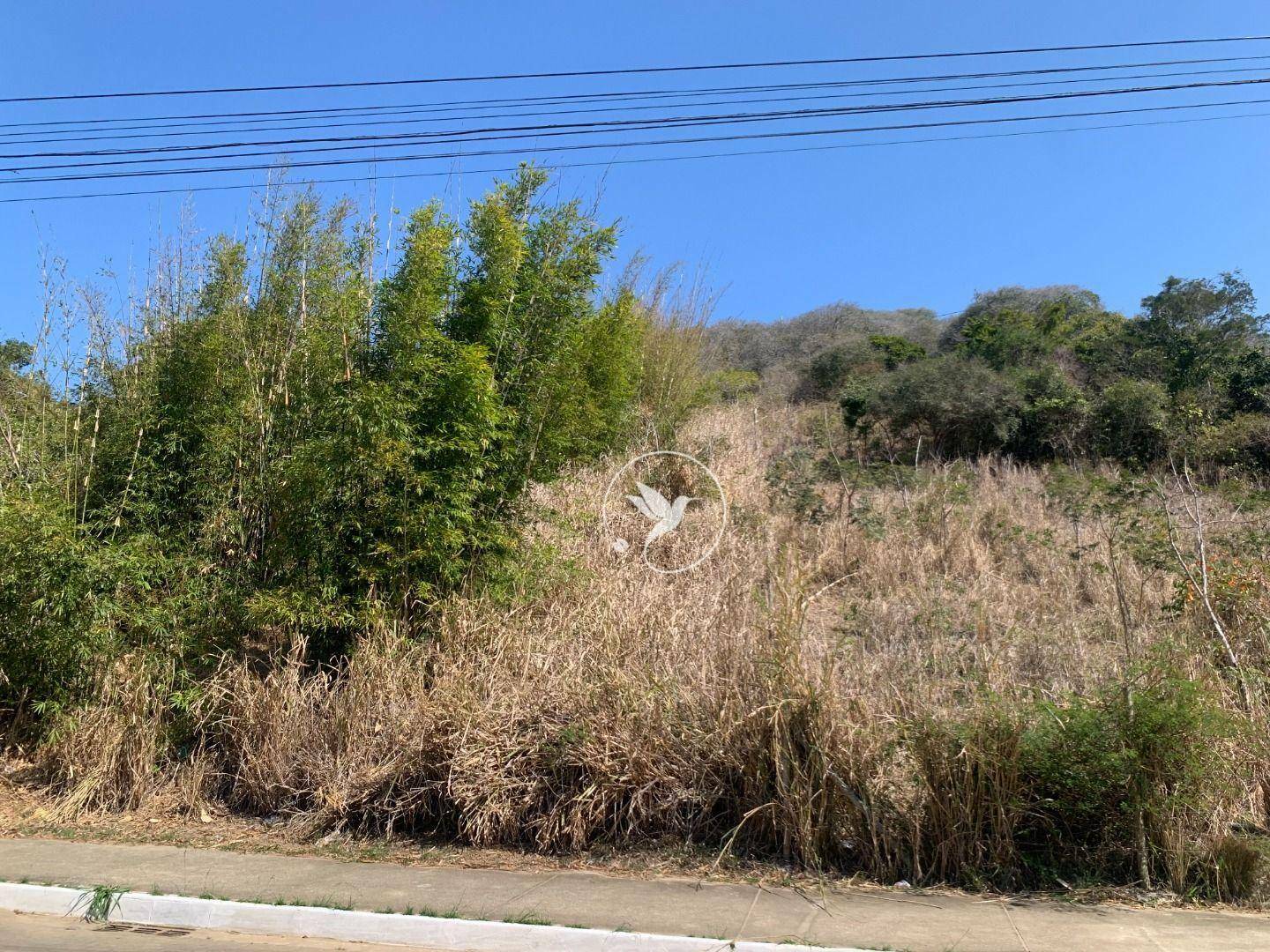 Terreno à venda, 1000M2 - Foto 17