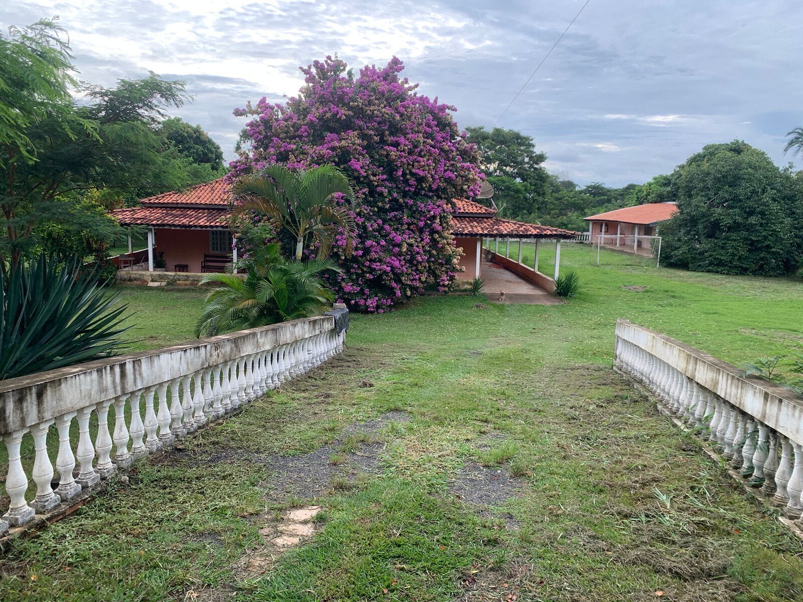 Fazenda à venda com 4 quartos, 5000m² - Foto 1