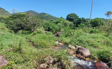 Fazenda à venda com 3 quartos, 30000m² - Foto 15