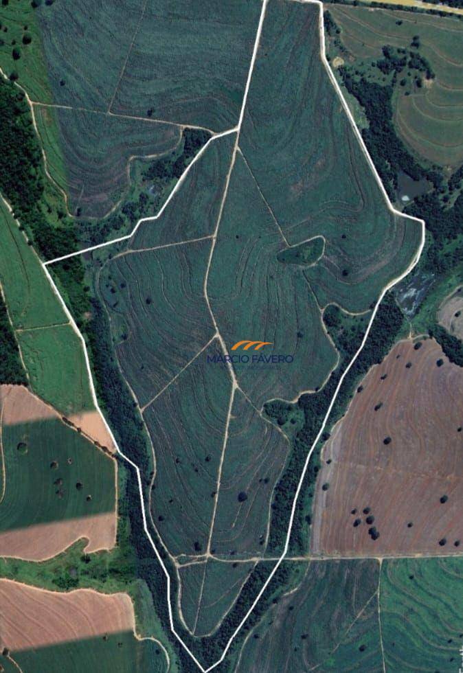 Fazenda, 115 hectares - Foto 1