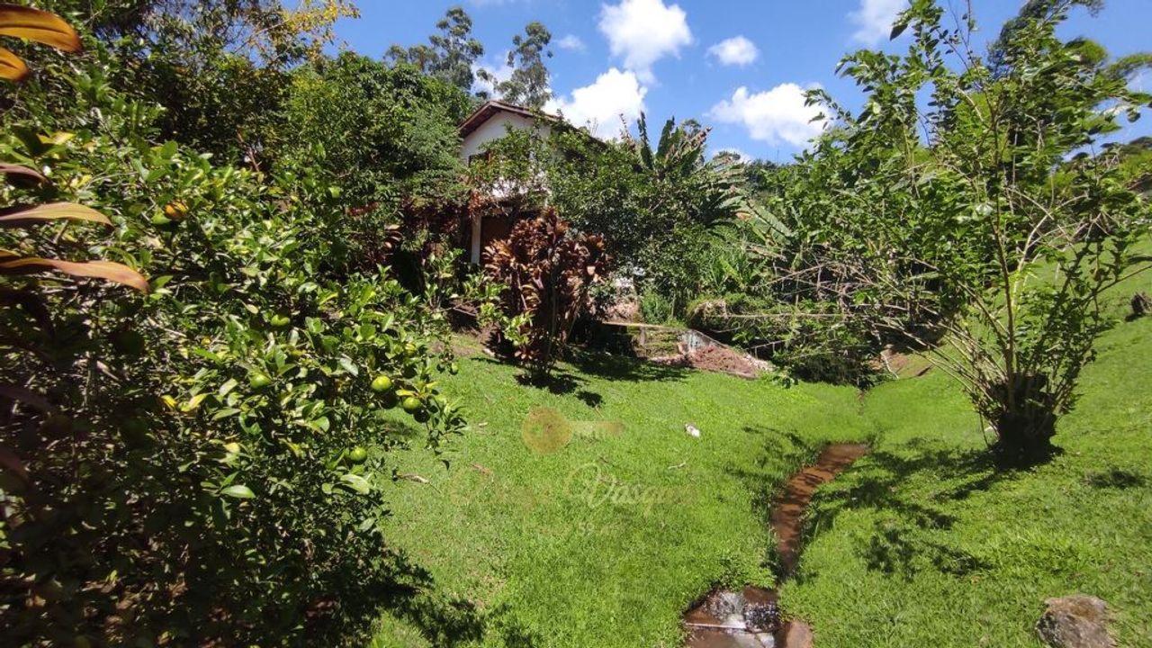 Fazenda à venda com 3 quartos, 600m² - Foto 5