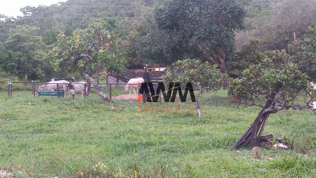 Fazenda à venda, 774400M2 - Foto 1