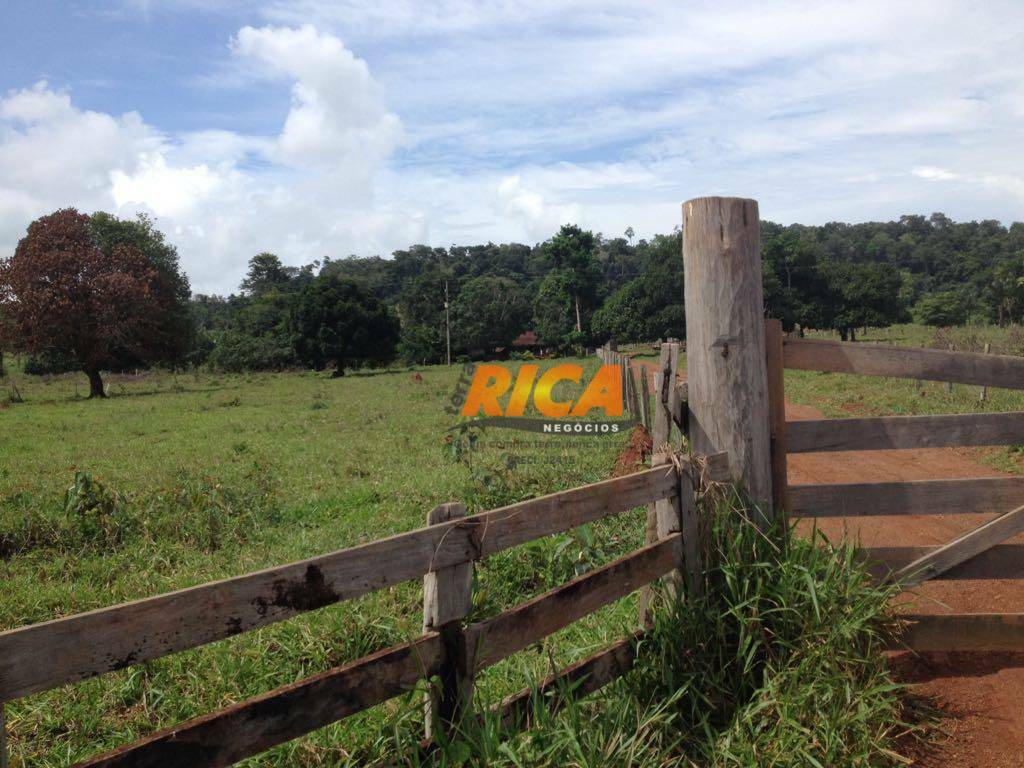 Fazenda à venda com 3 quartos, 1000000M2 - Foto 18