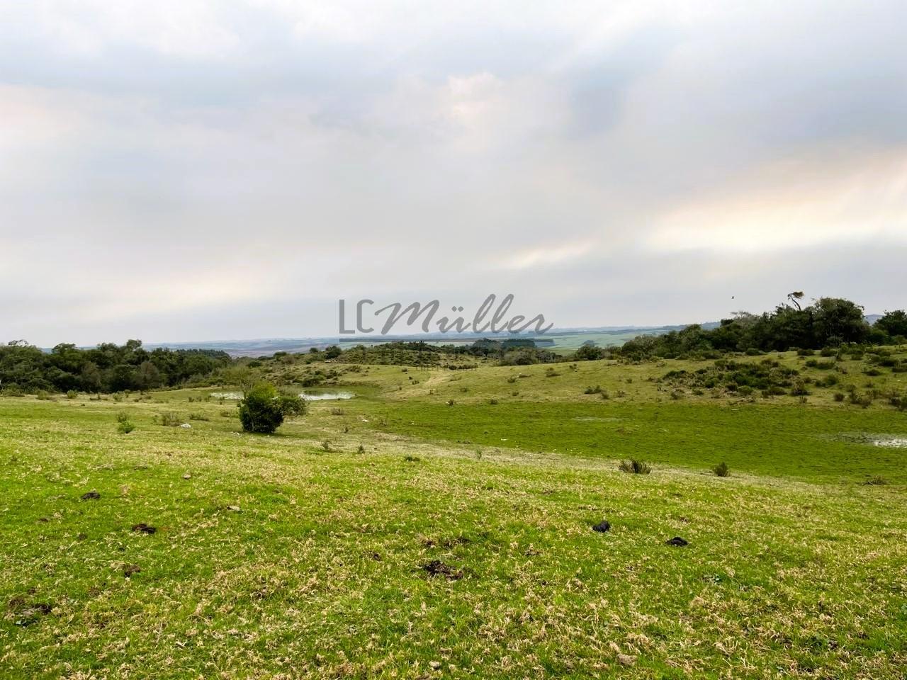 Terreno à venda, 412m² - Foto 3