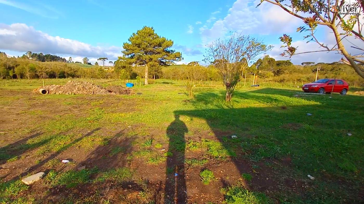 Chácara, 3 hectares - Foto 15