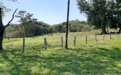 Fazenda à venda com 1 quarto, 240000m² - Foto 7