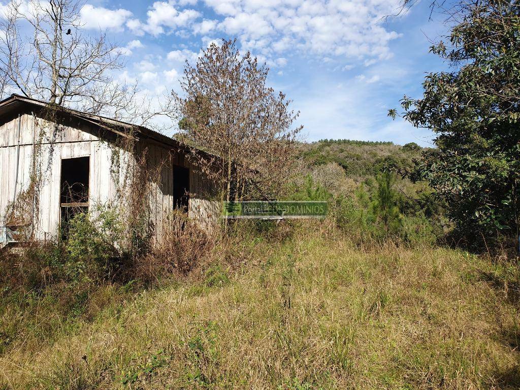 Terreno à venda, 15600M2 - Foto 6