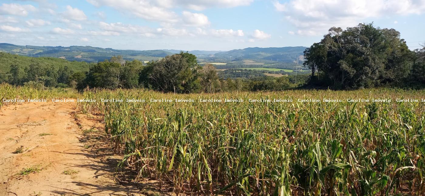 Loteamento e Condomínio para alugar com 4 quartos, 370000m² - Foto 15