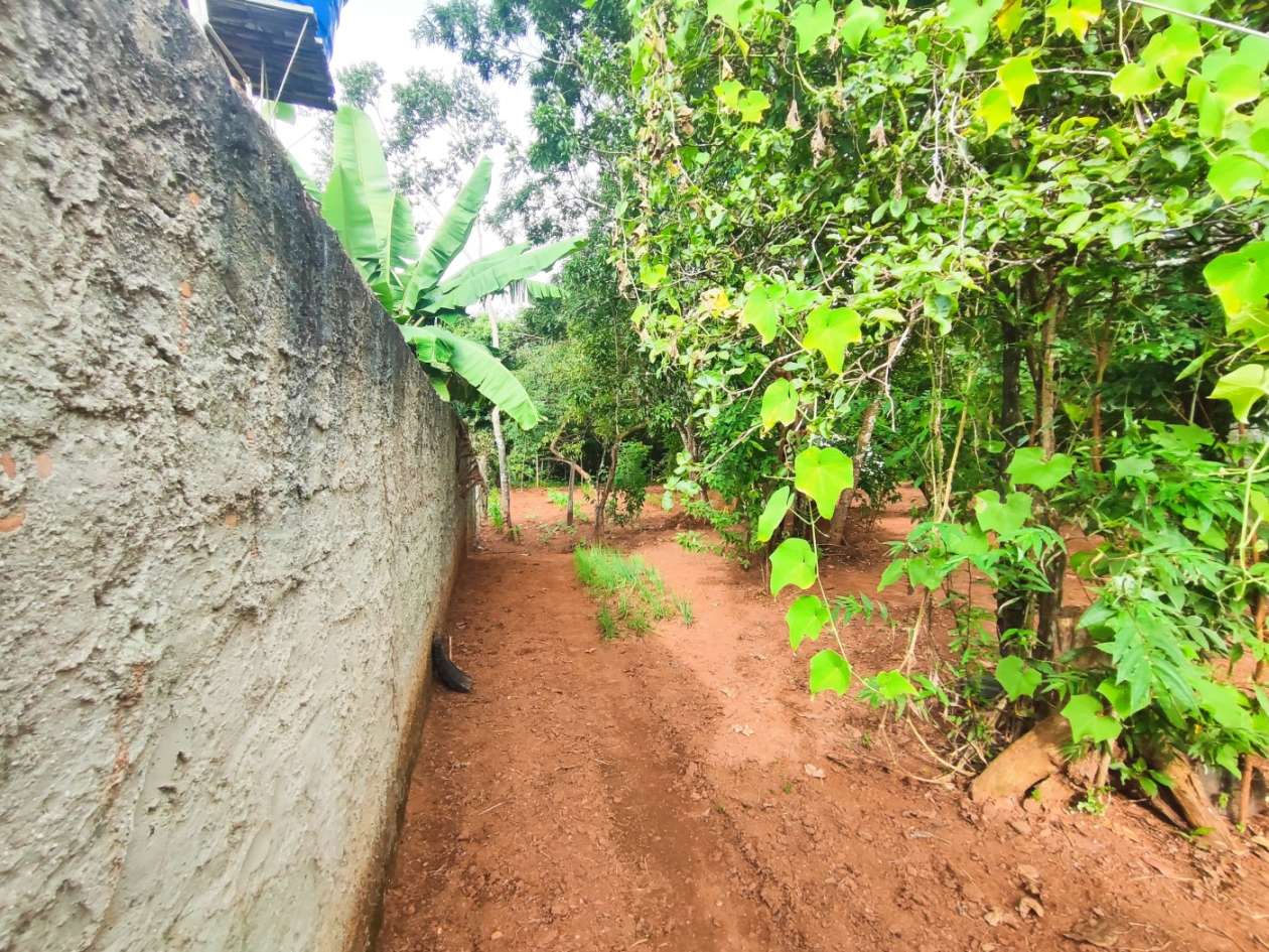 Chácara à venda com 2 quartos, 4000m² - Foto 15