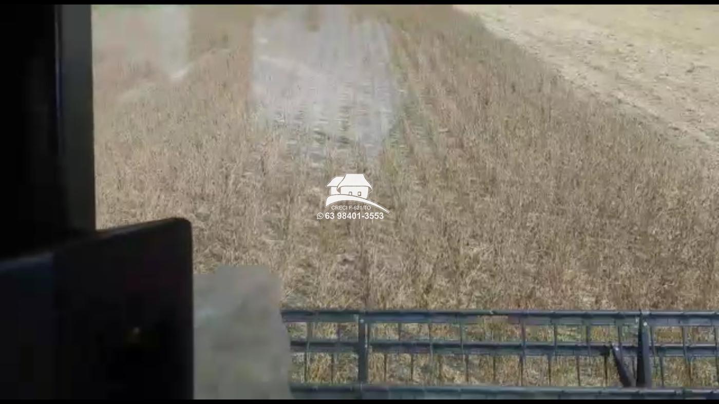 Fazenda-Sítio-Chácara, 1 m² - Foto 1