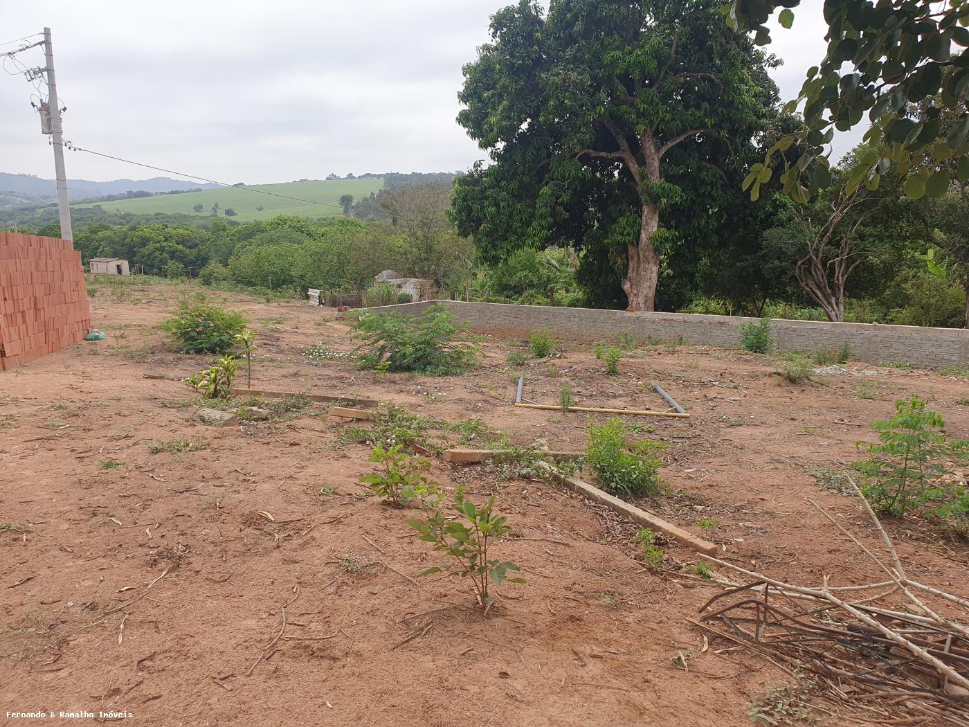 Fazenda à venda com 3 quartos, 80000m² - Foto 32