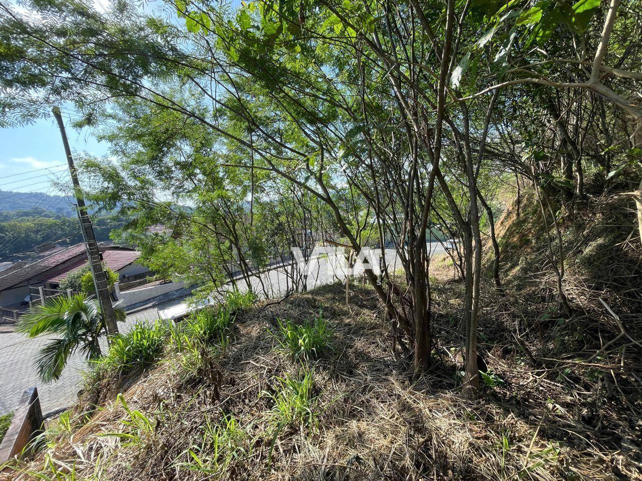 Terreno, 1691 m² - Foto 5