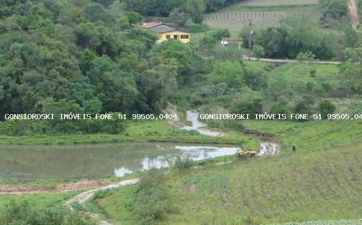 Fazenda à venda com 3 quartos, 140000m² - Foto 4