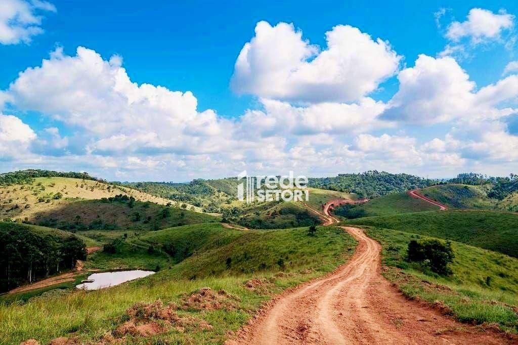 Terreno, 2 hectares - Foto 8