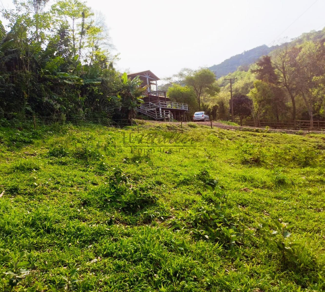 Fazenda à venda - Foto 6