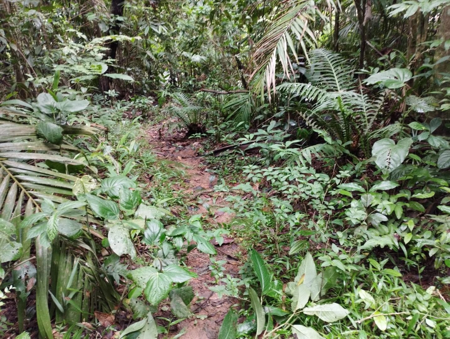 Terreno à venda, 19362M2 - Foto 3