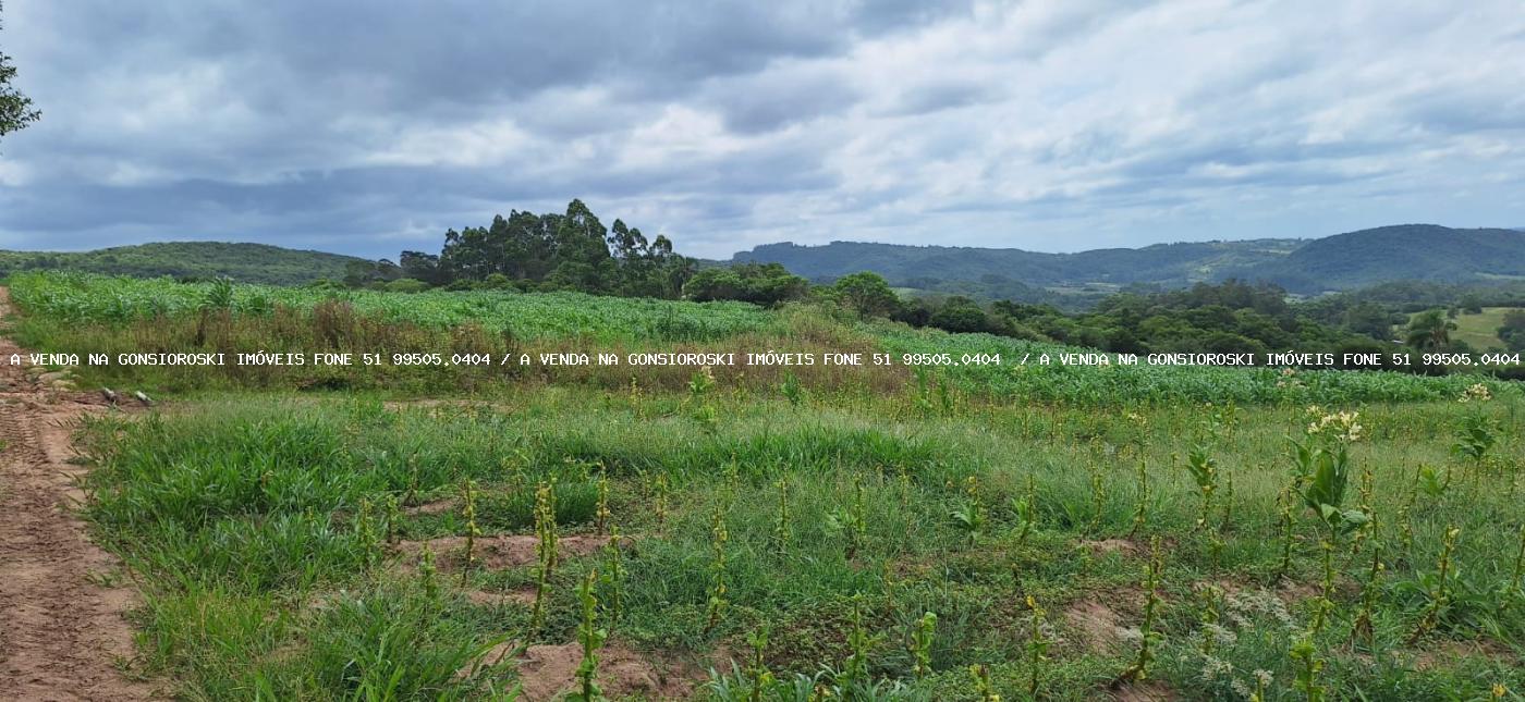 Loteamento e Condomínio à venda, 125000m² - Foto 5