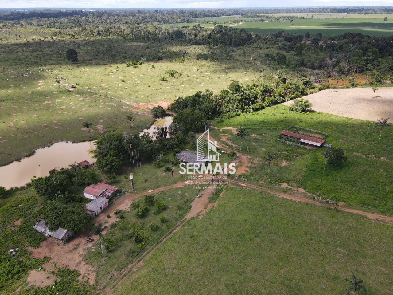Fazenda-Sítio-Chácara, 256 hectares - Foto 1