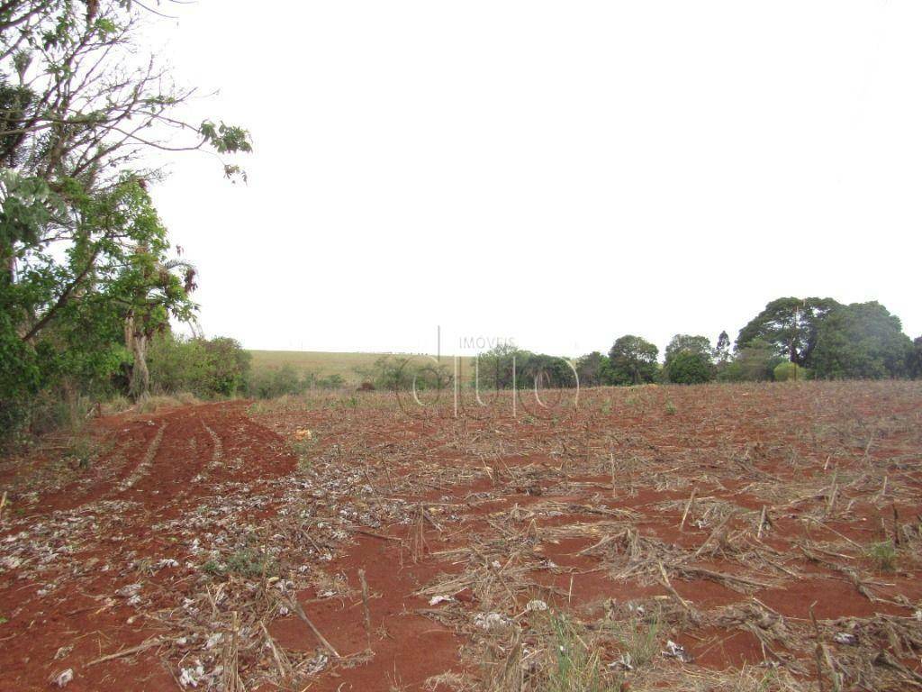 Terreno para alugar, 24200M2 - Foto 12