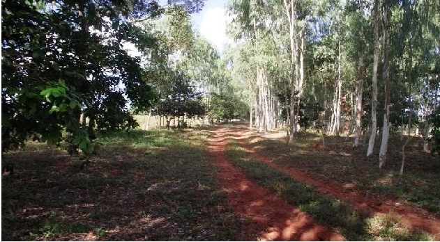 Fazenda à venda - Foto 12