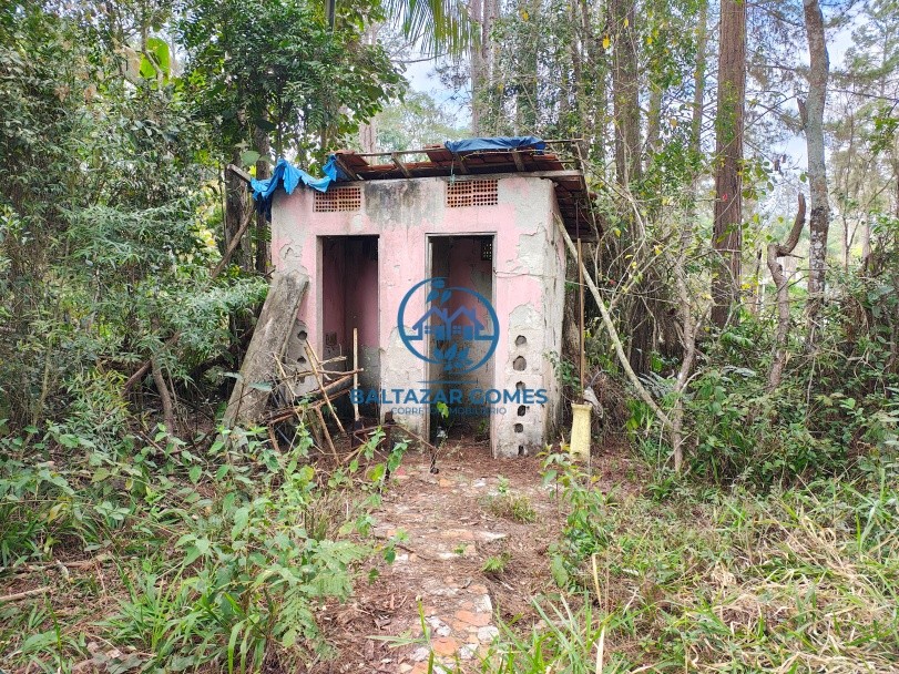 Sítio à venda com 3 quartos, 20000m² - Foto 10
